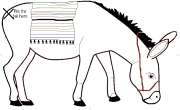 Pin the Tail on the Donkey - uncoloured