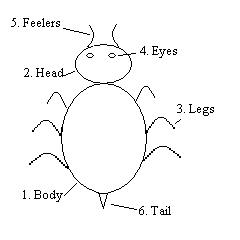 Beetle diagram for parlor game